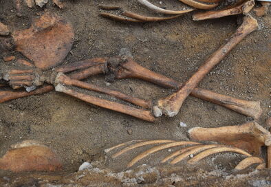 Co jste vy, byli jsme i my...