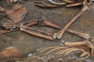 Co jste vy, byli jsme i my...