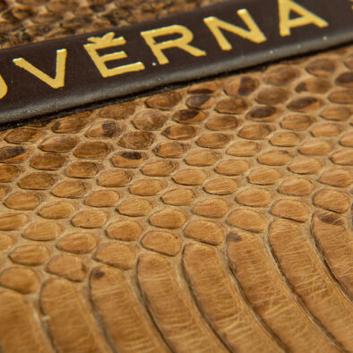 Regionální literatura