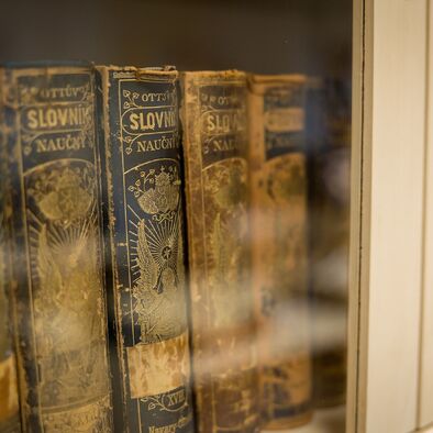 Online katalog knihovny MJH