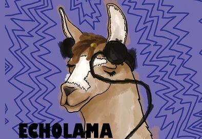 X-tet a Echolama / Petr Bohuslav a Michal Pospíšil