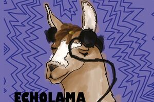 X-tet a Echolama / Petr Bohuslav a Michal Pospíšil